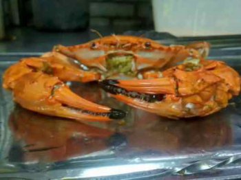 <b>炸螃蟹培训价格是多少</b>