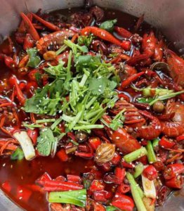 <b>小龙虾培训的实训教程</b>